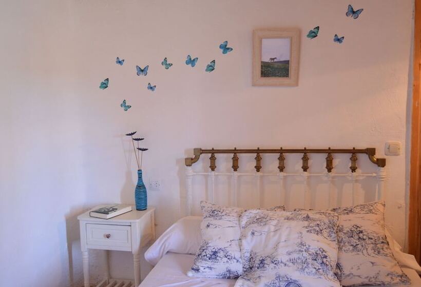 اتاق استاندارد یک نفره, Hostal Refugio De Gredos