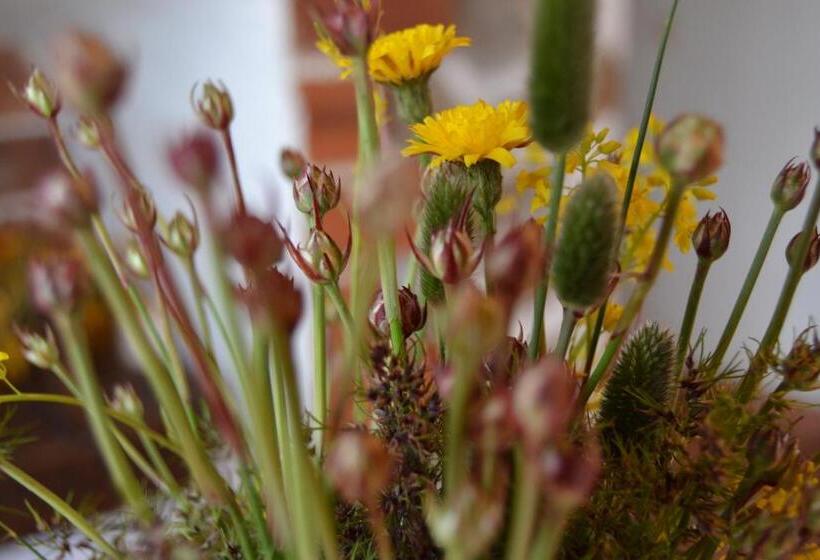 آپارتمان 1 خوابه, Hostal Refugio De Gredos