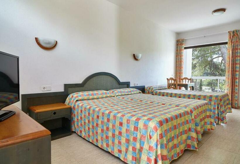 استودیوی استاندارد, Apartamentos San Miguel Park & Esmeralda Mar