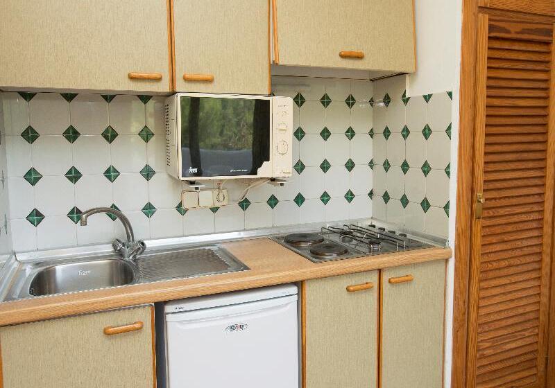 آپارتمان 1 خوابه, Apartamentos San Miguel Park & Esmeralda Mar