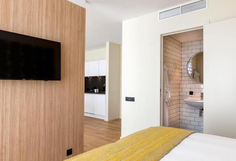 带1个卧室的顶楼公寓, Premier Suites Antwerp