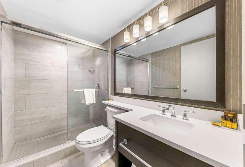 سوئیت با تخت بزرگ, Best Western Plus Banff International Lodge