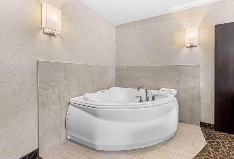 سوئیت با تخت بزرگ, Best Western Plus Banff International Lodge