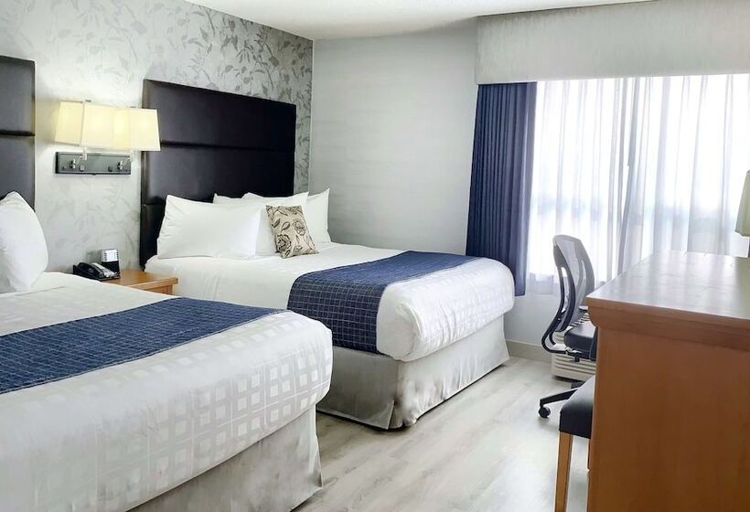 行政房间, Best Western Plus Regency Inn And Conference Centre
