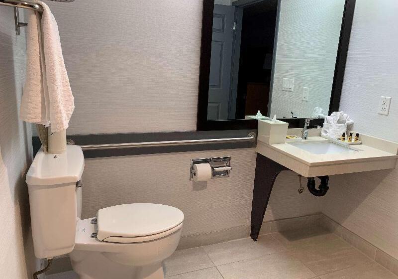 带大床的标准间, Best Western Plus Regency Inn And Conference Centre