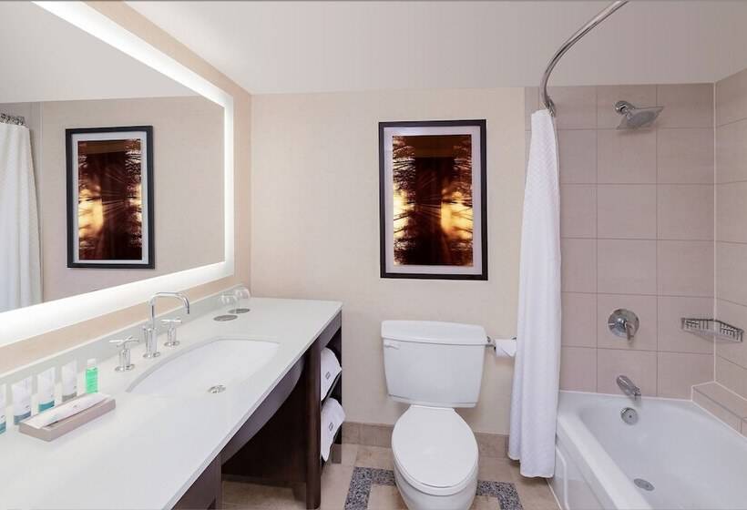デラックスルーム, The Westin Calgary
