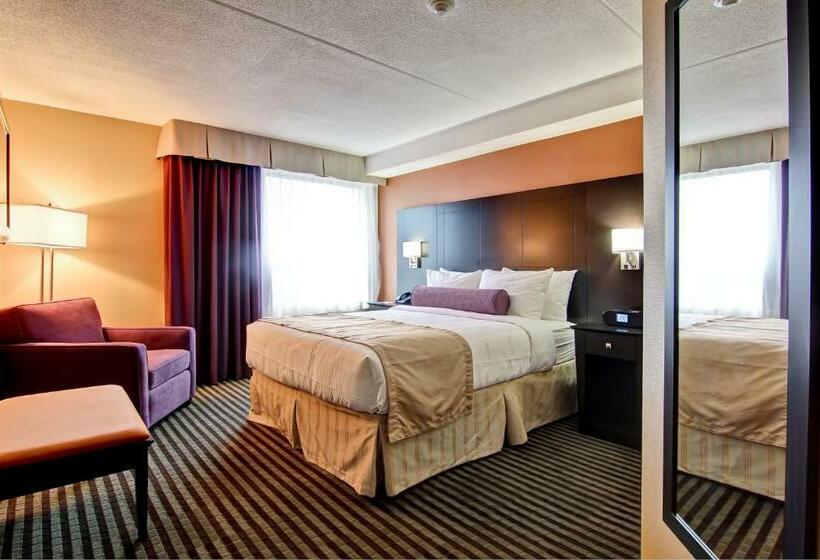 اتاق استاندارد, Best Western Plus Toronto North York Hotel & Suites
