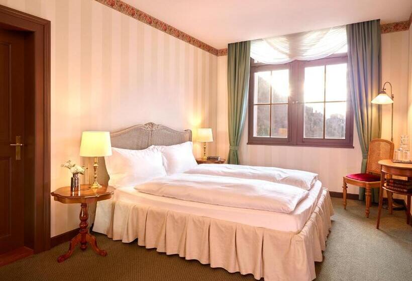 Номер Классический Вид на Озеро, Grandhotel Giessbach