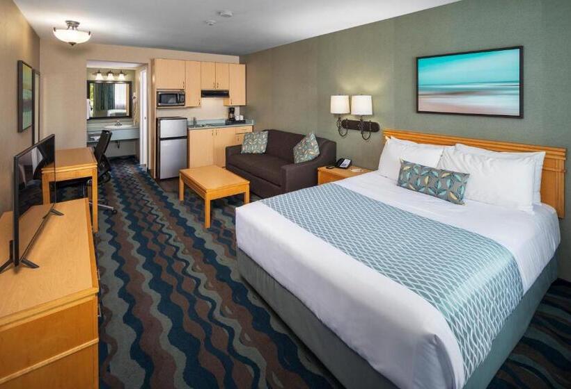 استودیوی استاندارد, Accent Inns Victoria