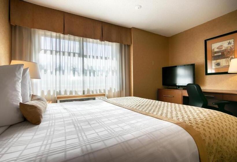 标准间, Best Western Plus Langley Inn