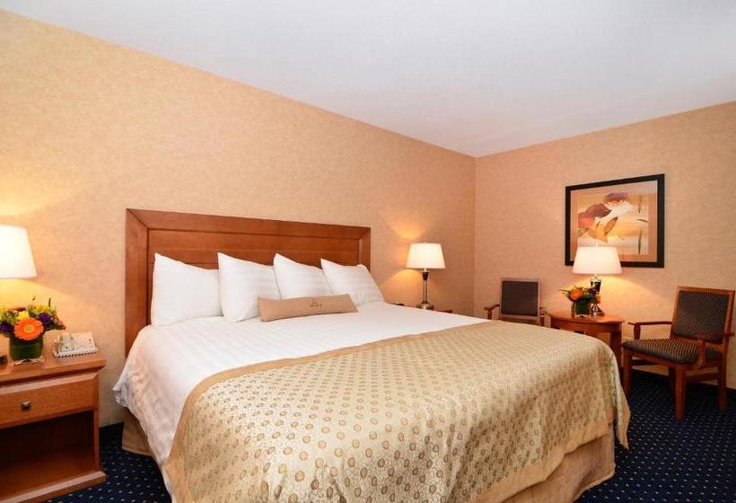 带大床的套房, Best Western Plus Langley Inn