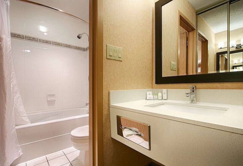 套房, Best Western Plus Langley Inn