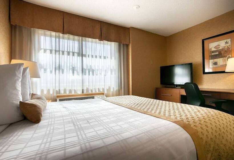 套房, Best Western Plus Langley Inn