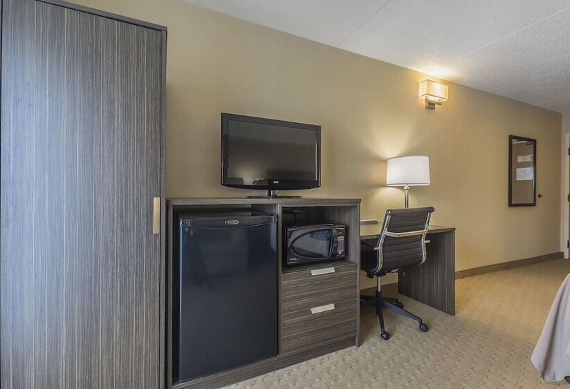 스탠다드 룸 킹사이즈 침대, Comfort Inn