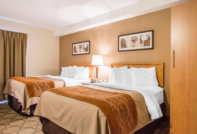 Стандартный Номер Нижний Этаж, Comfort Inn