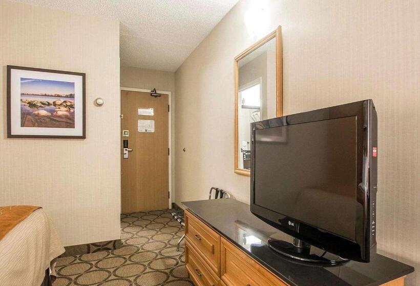 스탠다드 룸 1층, Comfort Inn