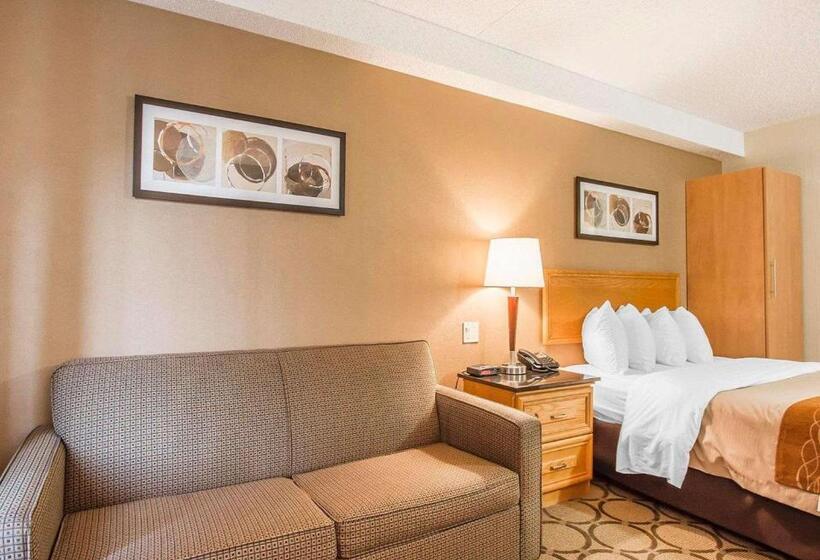Стандартный Номер Нижний Этаж, Comfort Inn