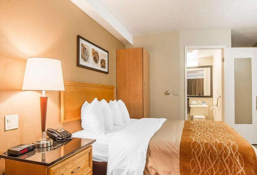 스탠다드 룸 1층, Comfort Inn