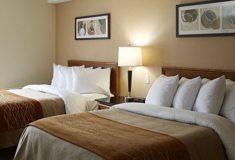 스탠다드 룸 더블 침대 2개, Comfort Inn