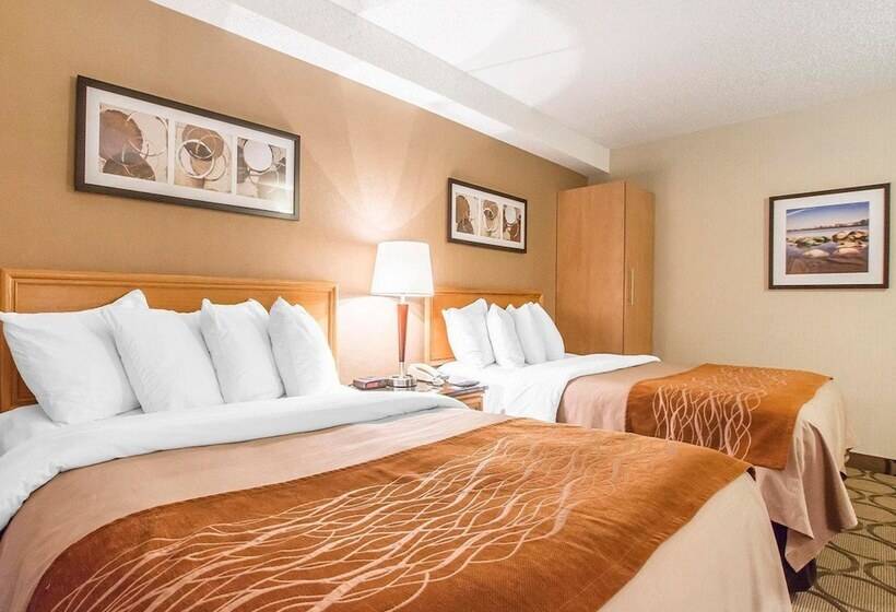 Стандартный Номер Нижний Этаж, Comfort Inn