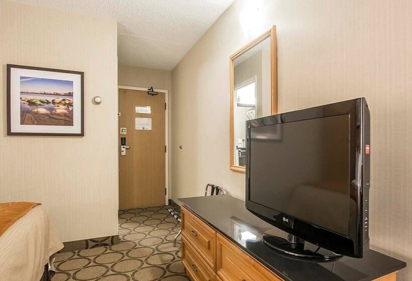 스탠다드 룸 1층, Comfort Inn