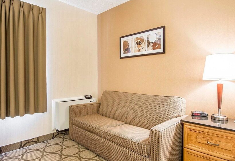 Стандартный Номер Нижний Этаж, Comfort Inn