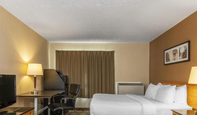 スタンダードルーム, Comfort Inn