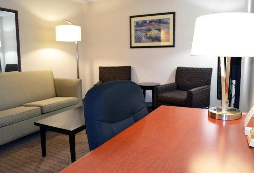 Номер Стандарт Кровать Кинг Адаптированный для Инвалидов, Holiday Inn Hinton, An Ihg