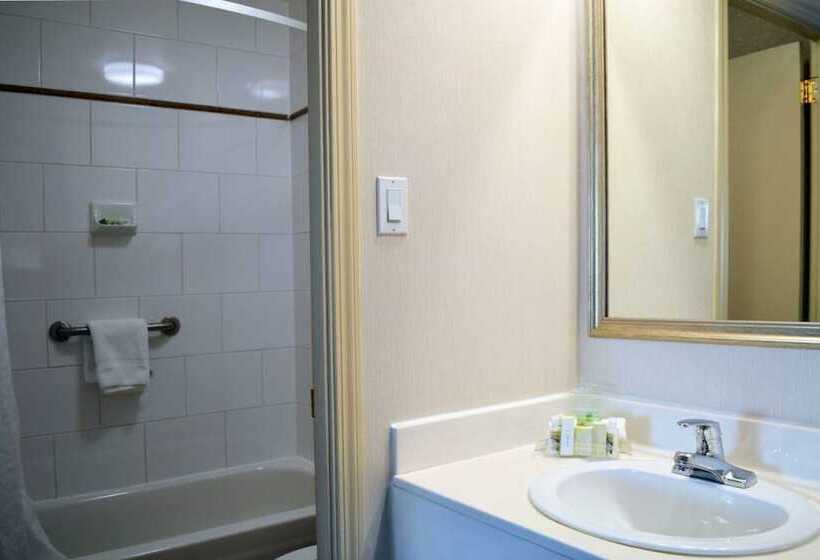 Номер Стандарт 2 Двуспальные Кровати, Holiday Inn Hinton, An Ihg