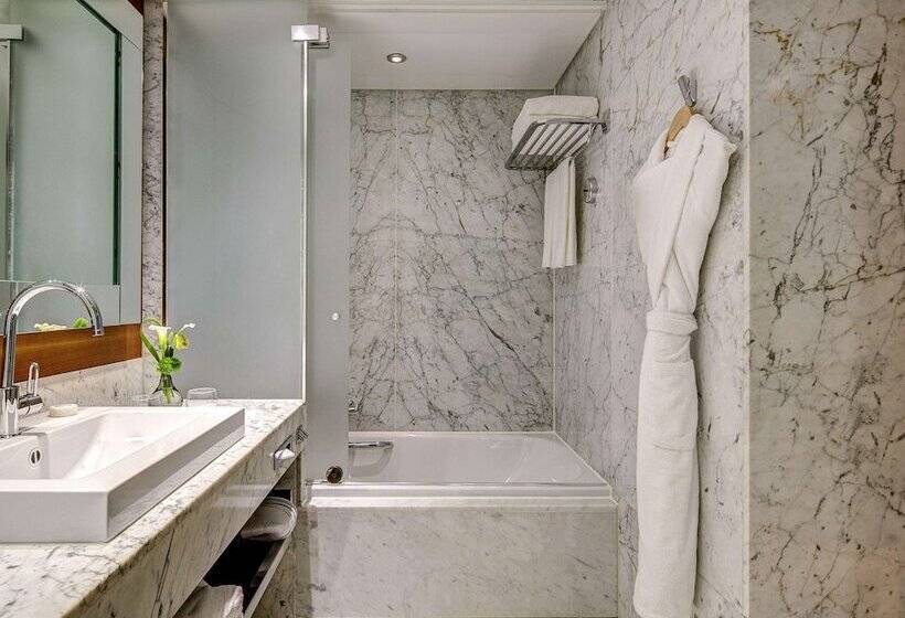 اتاق استاندارد با چشم‌انداز شهر, Fairmont Grand Hotel Geneva