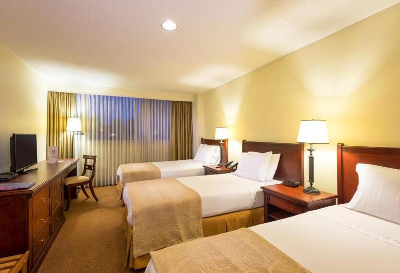 اتاق استاندارد سه نفره, Dann Av. 19