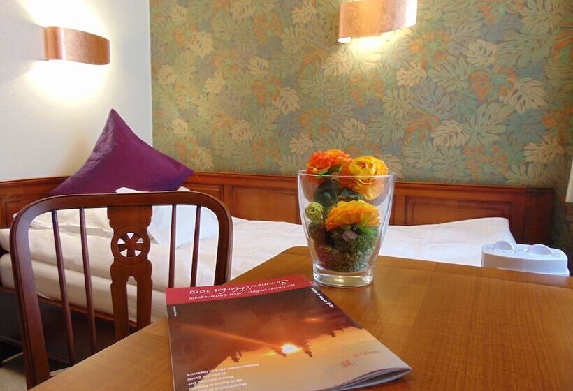 Номер Economy Индивидуальный, Boutiquehotel Oberkirch Im Zentrum