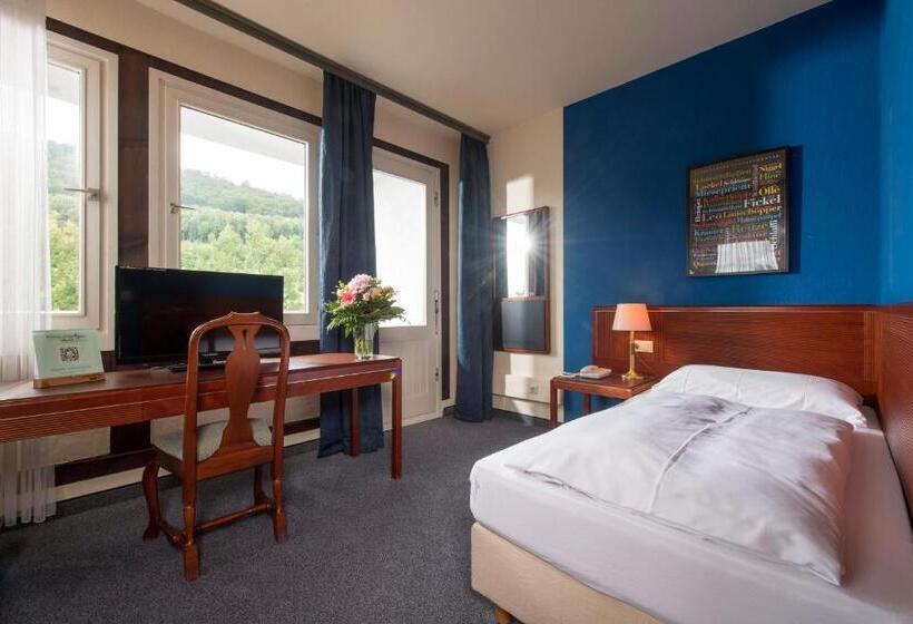 Номер Стандарт Индивидуальный, Sauerland Alpin