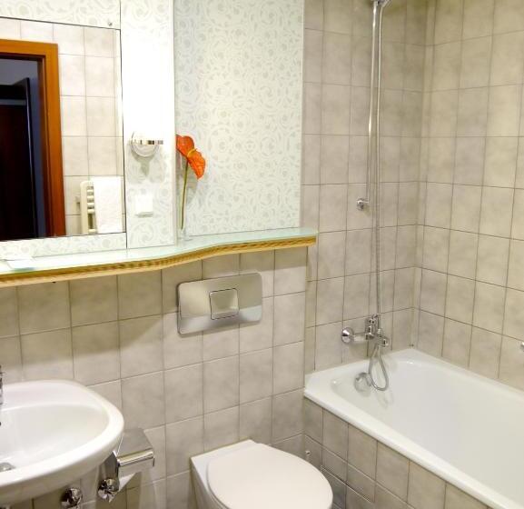 غرفة قياسية, Stadthotel Am Wasen