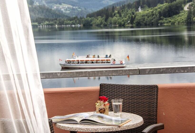 Номер Superior Одноместный, Maritim Titisee