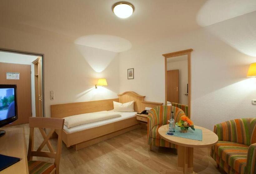 Номер Стандарт Индивидуальный, Parkhotel Sonnenhof