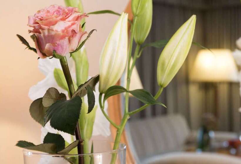 스탠다드 스튜디오, Maritim Hotel Magdeburg