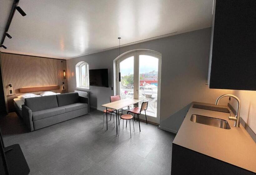 Апартаменты 1 Спальня, Zleep Hotel Køge