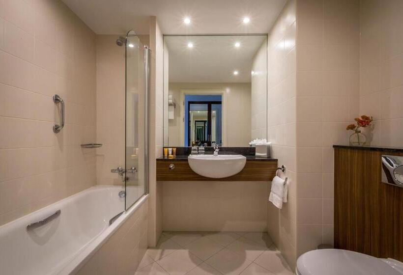 Люкс, The Killeshin Hotel Portlaoise