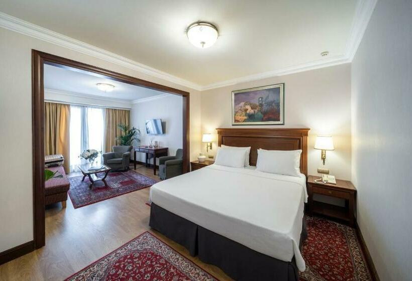 전망 주니어 스위트, Electra Palace  Athens