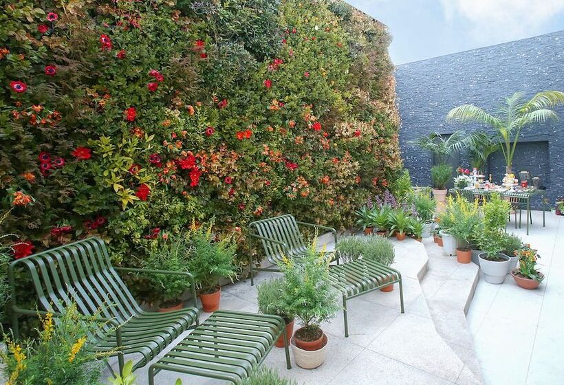 سوئیت پرزیدنت, Maison Glad Jeju