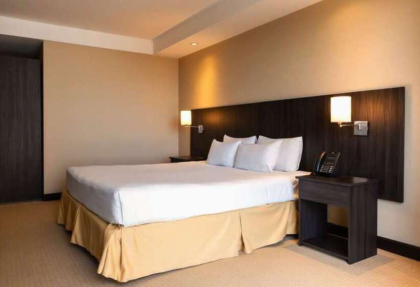 Номер Executive Кровать Кинг, Millennium Hilton Seoul