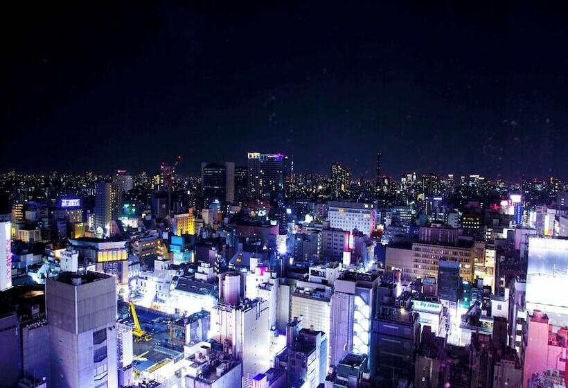 Номер Deluxe, Shinjuku Prince