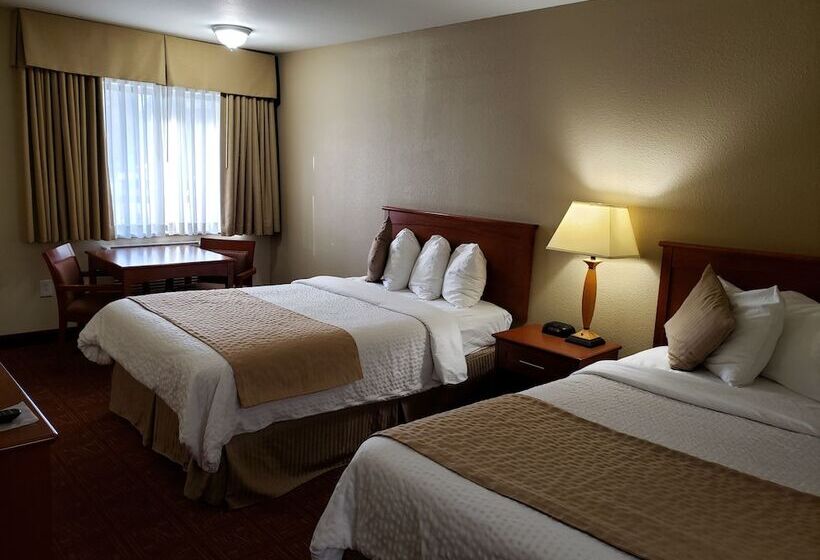 اتاق استاندارد با 2 تخت دوبل, Airport Inn