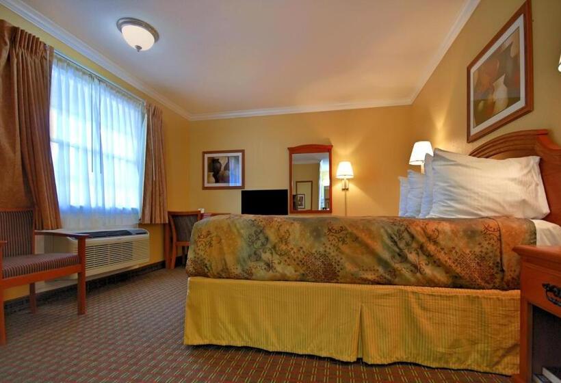 标准间, Americas Best Value Inn Killeen Ft. Hood