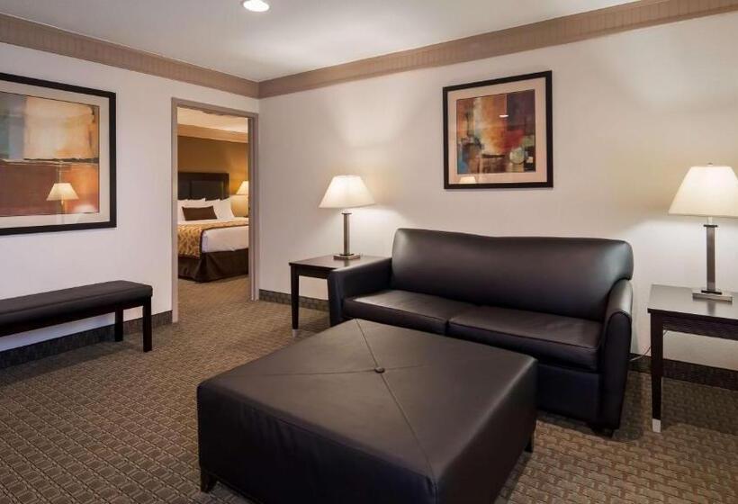 جناح سرير كينج, Best Western Plus Concordville