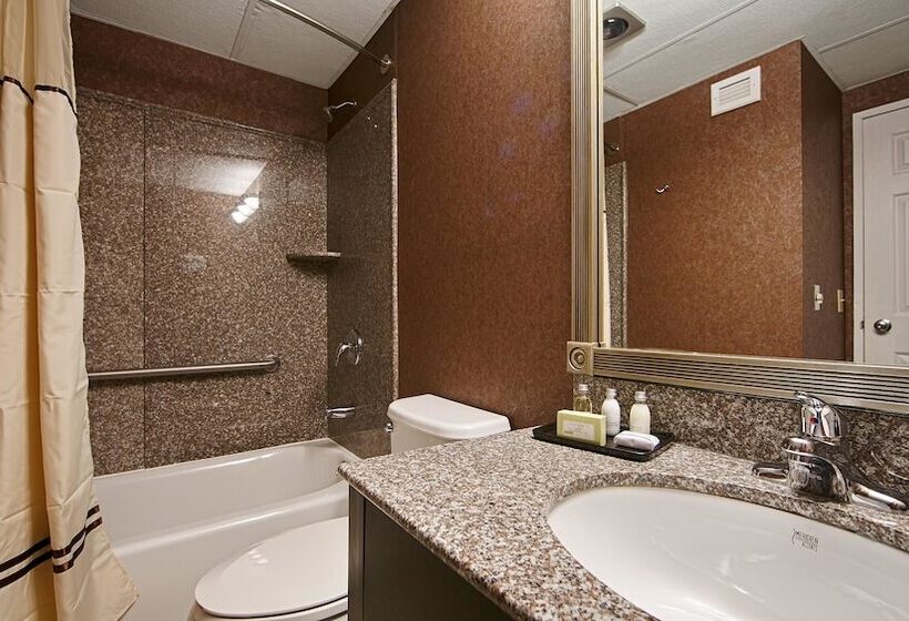 디럭스 룸, Best Western Plus Morristown Inn