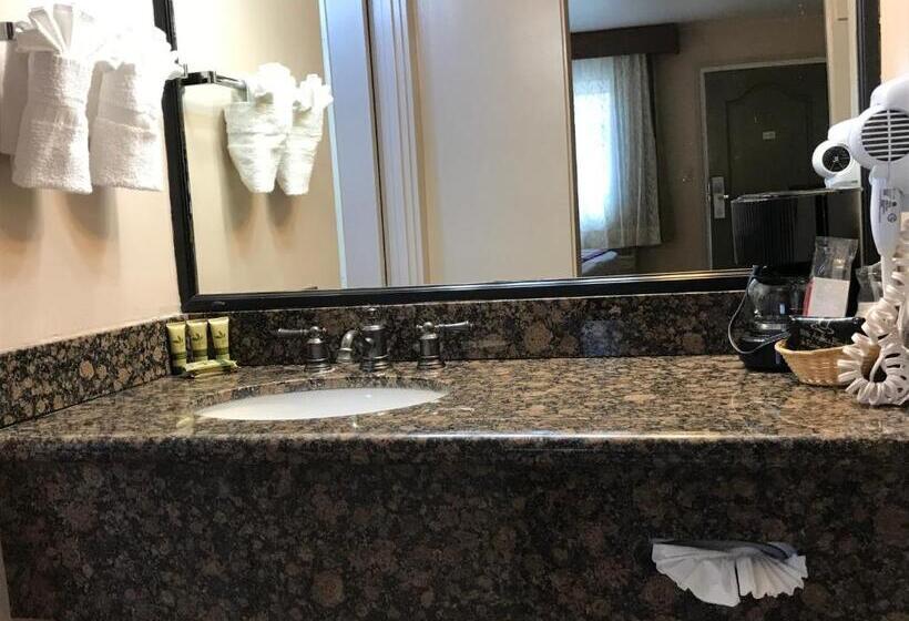 带大床的标准间, Olive Tree Inn & Suites