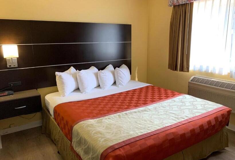 豪华房间, Olive Tree Inn & Suites