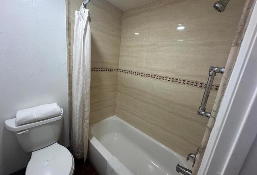 스탠다드 룸 킹사이즈 침대, Palm Inn Hotel Near Tyler Mall Riverside